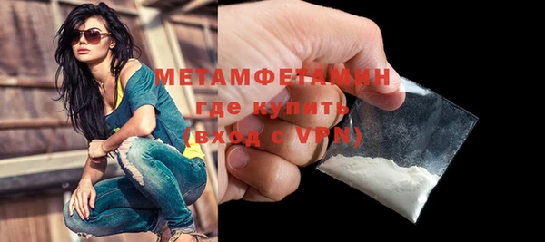 прущие грибы Богородицк