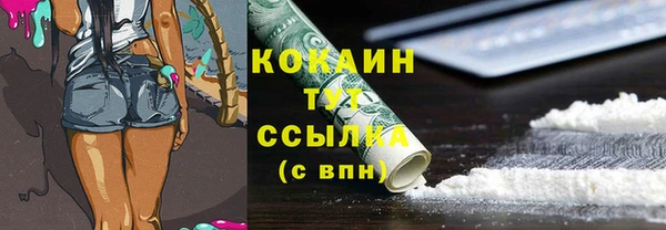 прущие грибы Богородицк