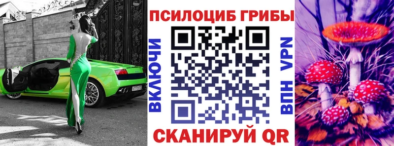 Псилоцибиновые грибы Psilocybine cubensis  Няндома 
